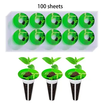 100x Hidroponiskas Augu Sēklu Etiķetes Pot, Etiķetes, Uzlīmes, Zīmes Augiem un Izprast Augu Augšanas